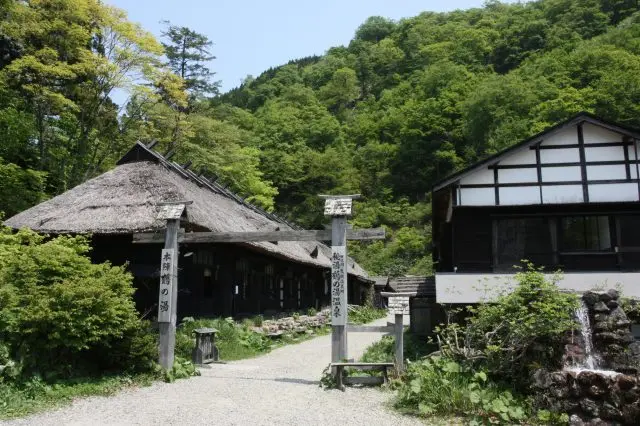 感受湯治場氛圍，瞭解日本的湯治文化