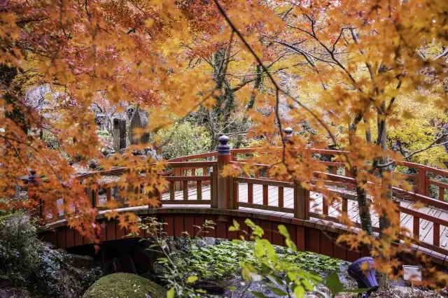 秋季造訪「熱海溫泉」，可同時體驗溫泉巡禮與賞楓樂趣