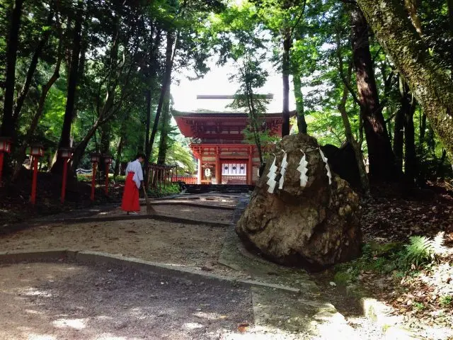 在境內尋找象徵能帶來好運的「神猴」吧