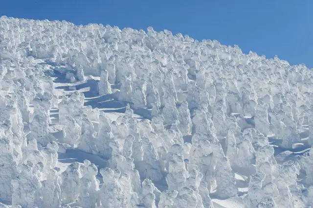 An awe-inspiring view known as “snow monsters”—a sight you won’t find anywhere else in the world