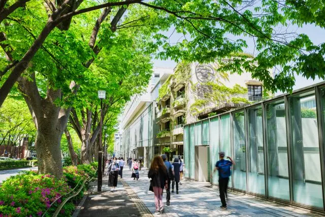 青山、原宿和表参道地区是东京最好逛的地区之一，也是最新时尚潮流的发信地