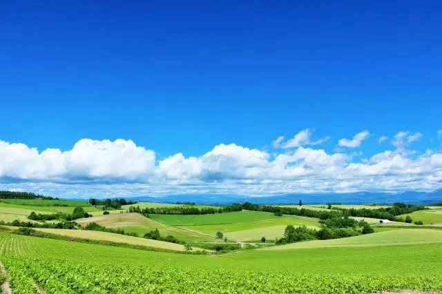 北海道は人気観光地同士の距離が離れているので気をつけてほしい
