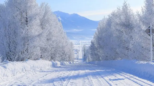 Experience the Grandeur of Hokkaido's Seasonal Landscapes: 18 Must-See Scenic Spots