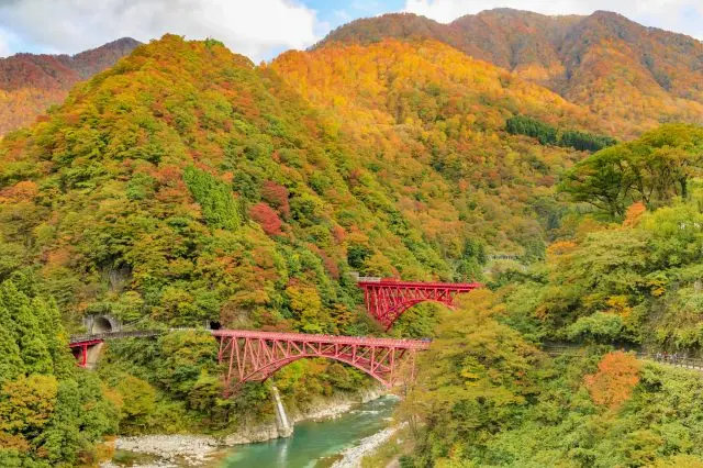 被秋葉染上絢麗色彩的黑部峽谷美不勝收