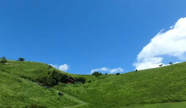 欣賞大自然創造的雕塑之美，感受伊豆高原的原點