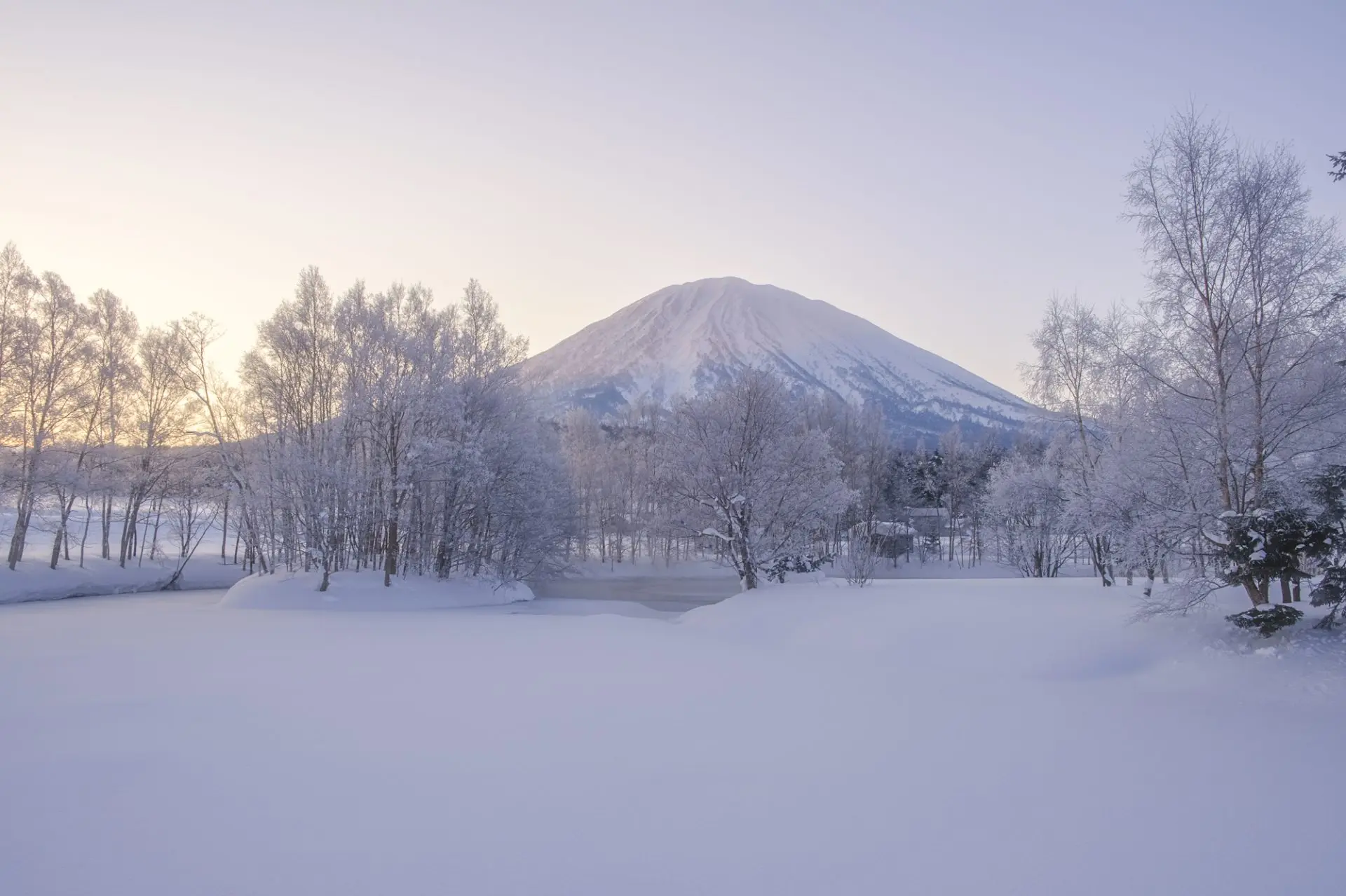 北海道 ニセコ 町