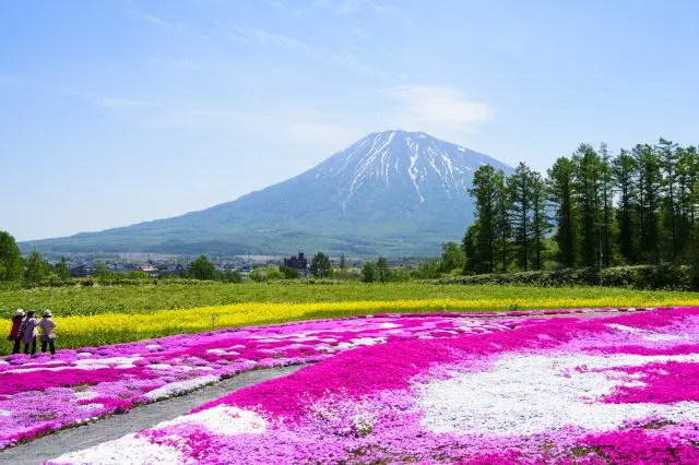 One of Niseko's charms is its breathtaking scenery throughout the seasons.
