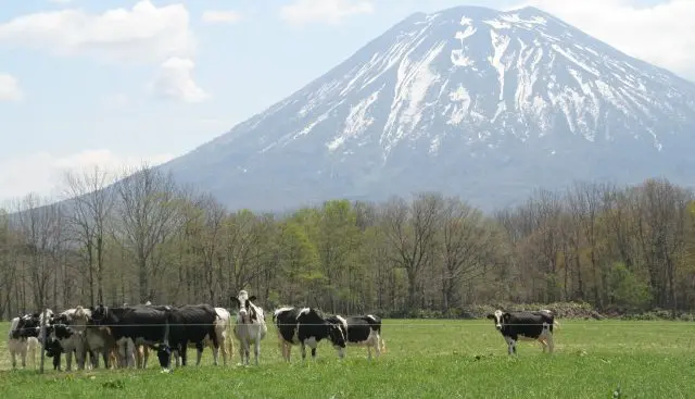 The ranch offers a wide array of farm gourmet dishes made with their own freshly delivered milk.