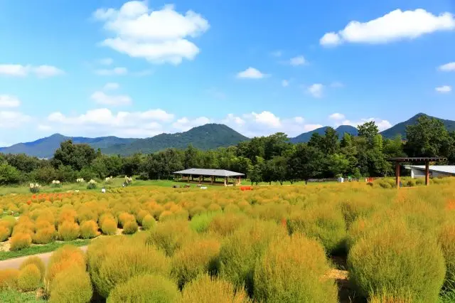 【國營讚岐滿濃公園完整指南】玩樂方式、必看重點＆週邊景點一篇搞定！