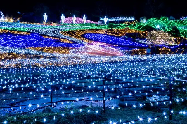 冬日夜晚的國營讚岐滿濃公園，化身為與白天截然不同的夢幻世界