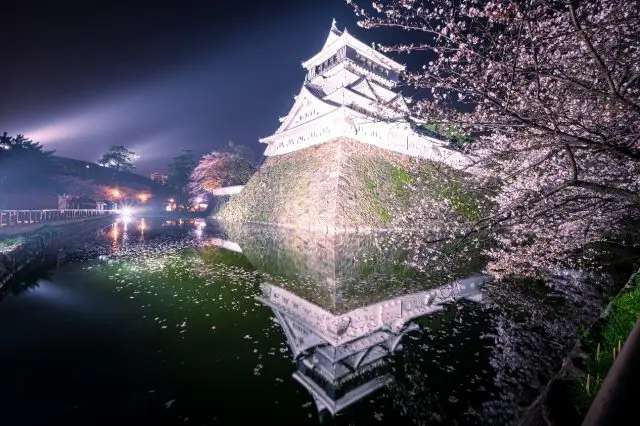 벚꽃의 시기에는 더욱 아름답게 빛나는 오구라성