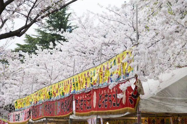 Eating B-class gourmet food while enjoying the view of cherry blossoms is also a unique and enjoyable way to experience spring.