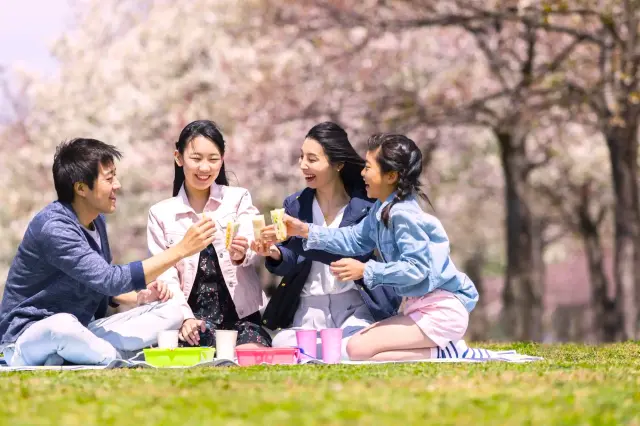与家人或友人一边吃喝聊天一边赏樱，是日本人喜爱的享受樱花的方式