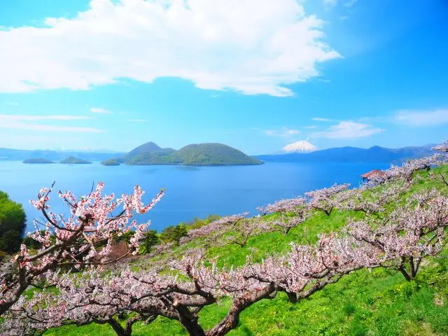 Enjoy a spring vista that looks like a painting.
