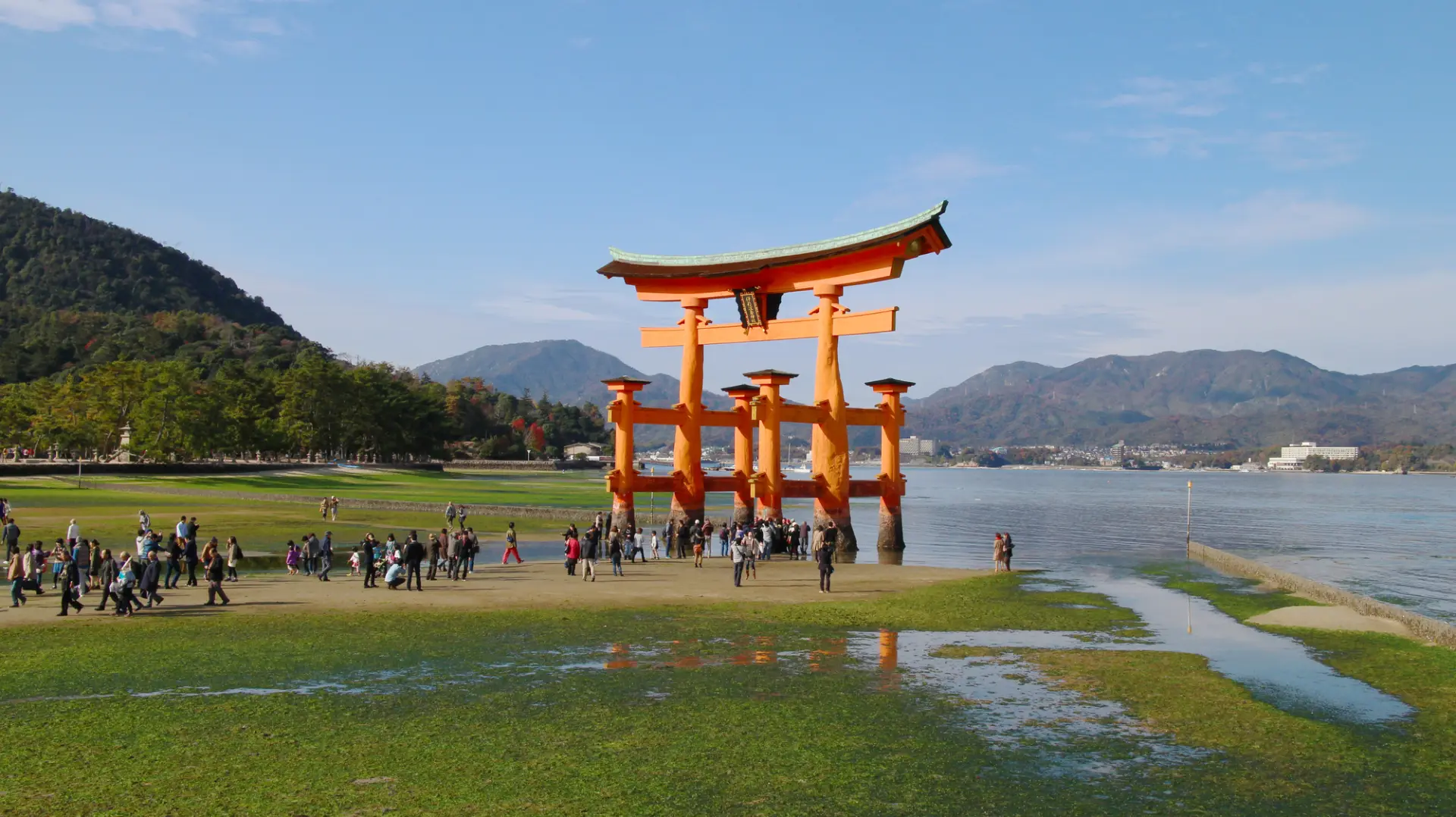 平成8年に世界遺産に登録された神社