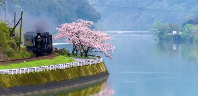 沿著球磨川行駛的SL蒸汽火車