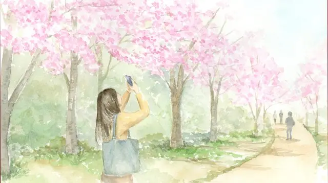 【超严选！日本樱花指南】全国各地最美的樱花景点都在这了！