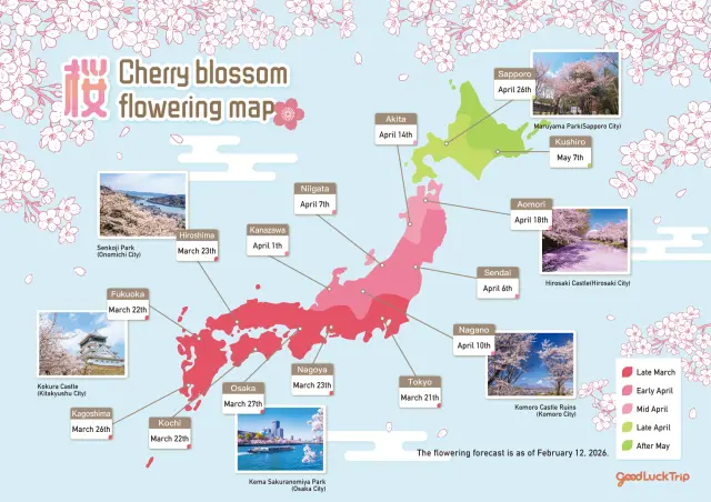 2026 Cherry Blossom Forecast Map