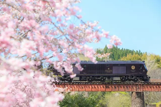 桜彩る春の九州で訪れるべきお花見スポット21選