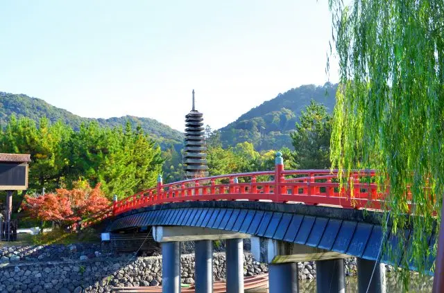 우지차의 고향, 우지를 120% 즐길 수 있습니다! 1Day 코스 추천