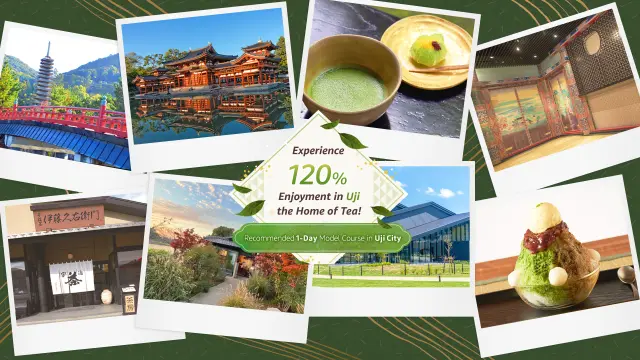 Recommended 1-Day Model Course in Uji City – Experience 120% Enjoyment in Uji the Home of Tea!