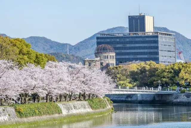 透過綻放在河畔的櫻花眺望河堤對面的原爆圓頂屋