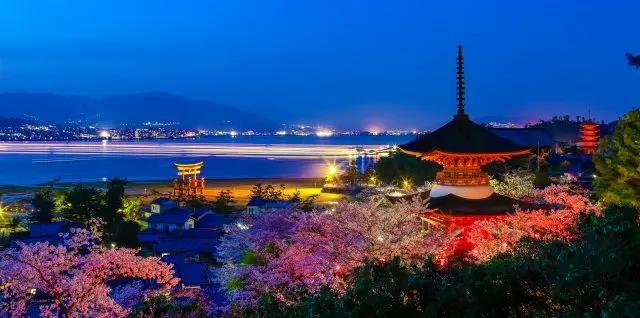 櫻花滿開的宮島。從多寶塔望去的浪漫夜景