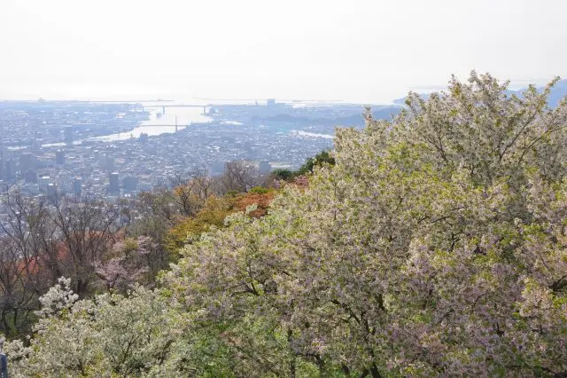 眉山被稱為德島的象徵，以擁有視野絕佳的觀景台和櫻花而聞名