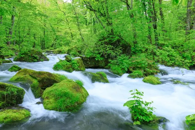能同時飽覽溪流與森林之美的「溪流漫遊區」