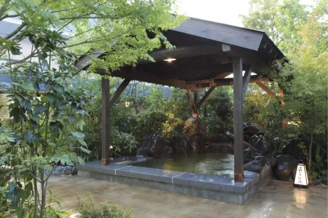 在豐富多樣的浴池中盡情享受放鬆身心的療癒時光