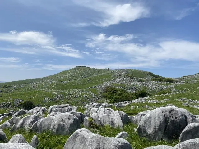 양처럼 생긴 하얗고 둥근 석회암 바위가 특징입니다. 사계절 내내 꽃이 피기 때문에 등산을 즐기기에 이상적입니다.