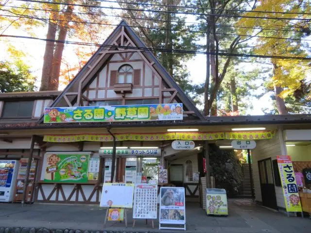 무리 지어 사는 일본원숭이들과 300종의 야생초가 주는 힐링