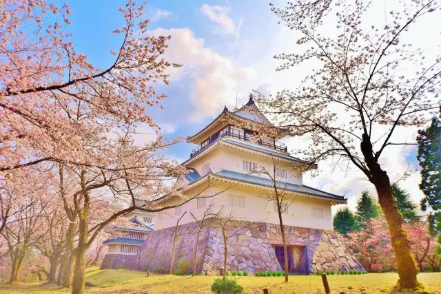 透過櫻花仰望以城堡為模型建造的鄉土史料館