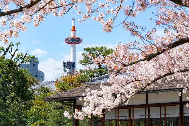 聳立在充滿古都風情的都市景觀中的Nidec京都塔