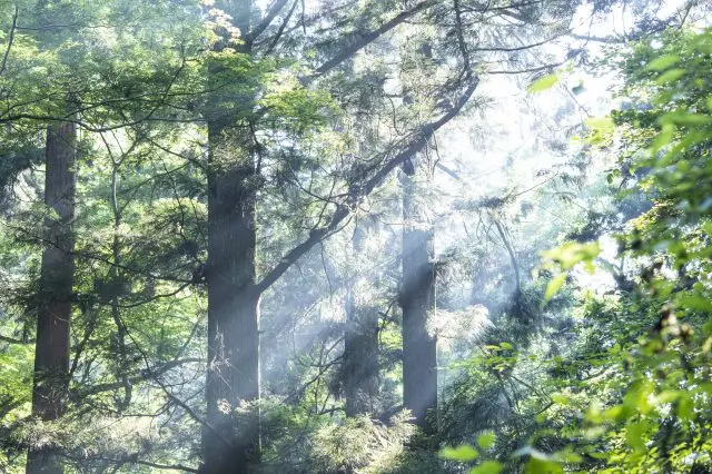 다카오산에 오르기 전에 알아두어야 할 11가지