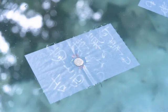 Cast your paper wishes on the Mirror Pond at Yaegaki Shrine.