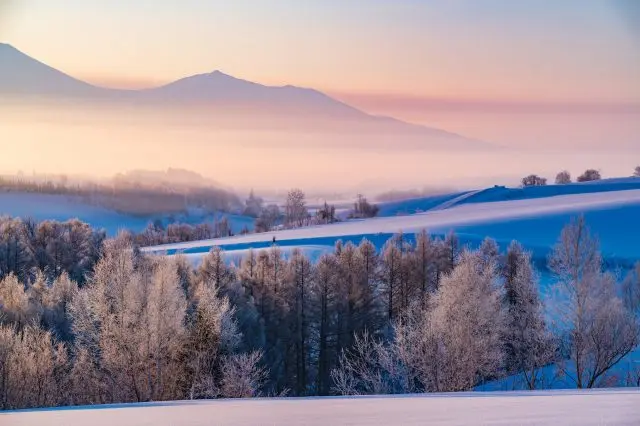 日帰りでも北海道を満喫！エリア別人気観光スポットと日帰り旅行のポイント