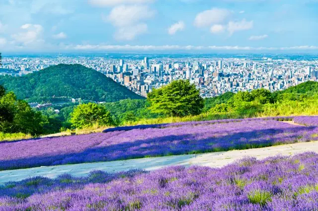 雄大な自然景観と自然と調和した美しい都市が魅力の北海道