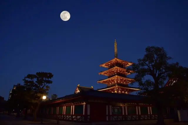 以寺院的象徵・五重塔為首，境內有著無數看點的四天王寺
