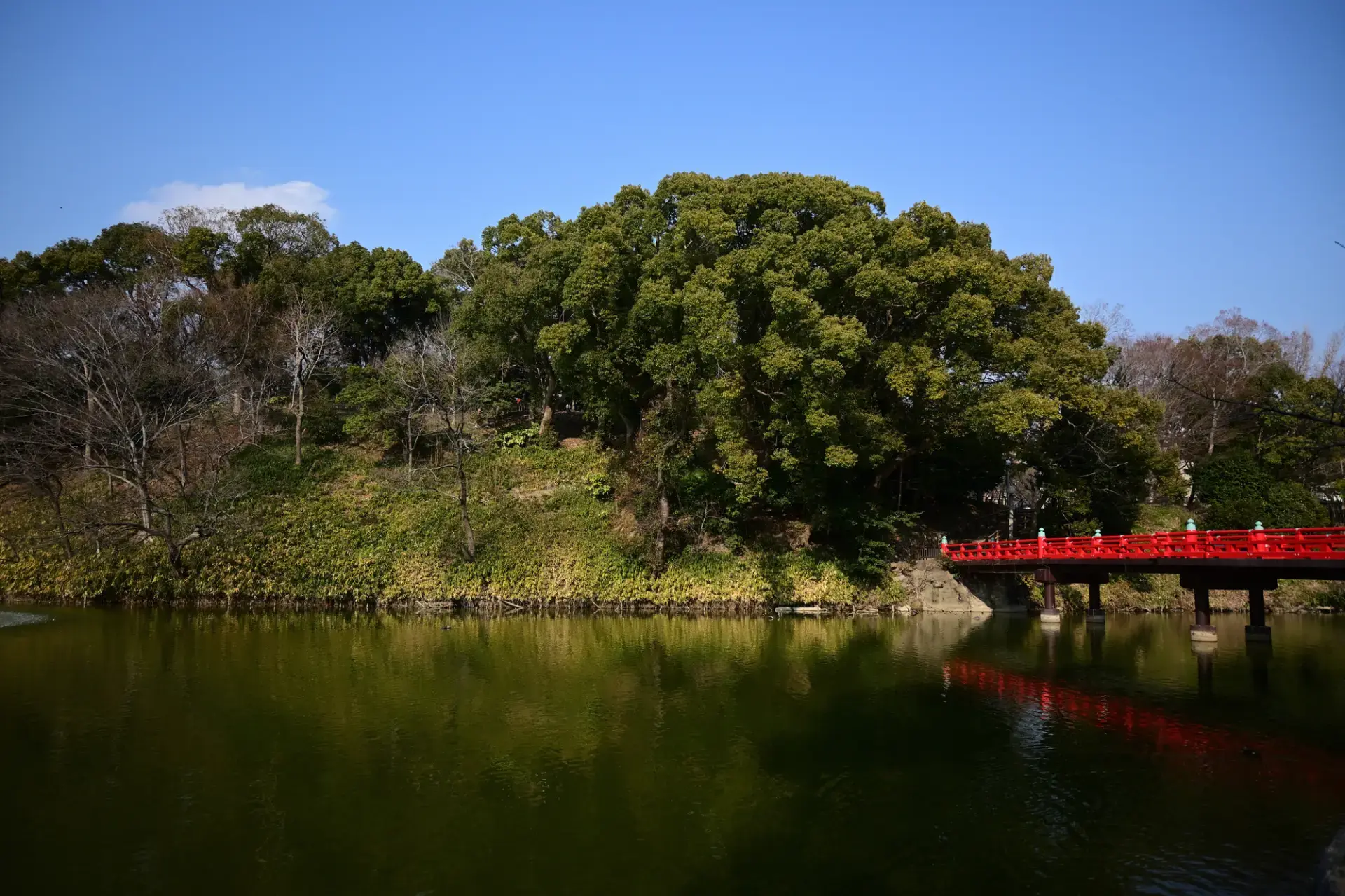 天王寺公園内に位置する大坂の陣の舞台