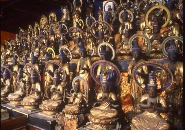 可参拜肉身菩萨真如海上人