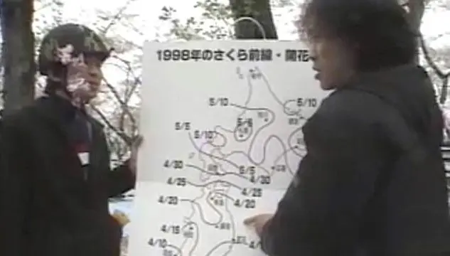 It’s important to keep track of where the cherry blossom front is.