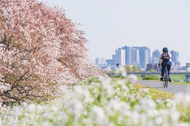 東京・横浜から30分以内！多様な魅力を持つ街・川崎の人気観光スポット9選