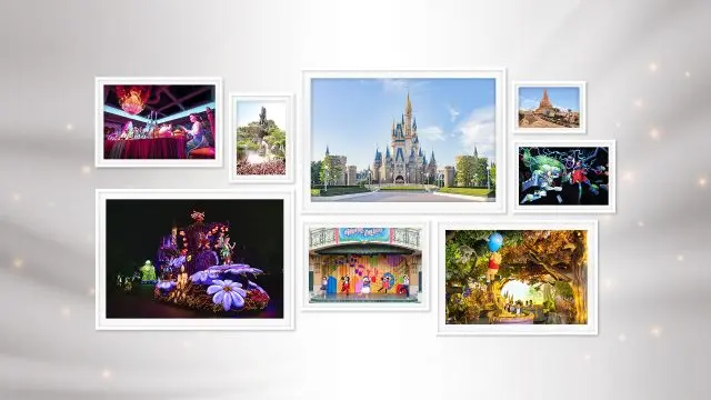 Must-read Guide to Efficiently Enjoy Tokyo Disneyland