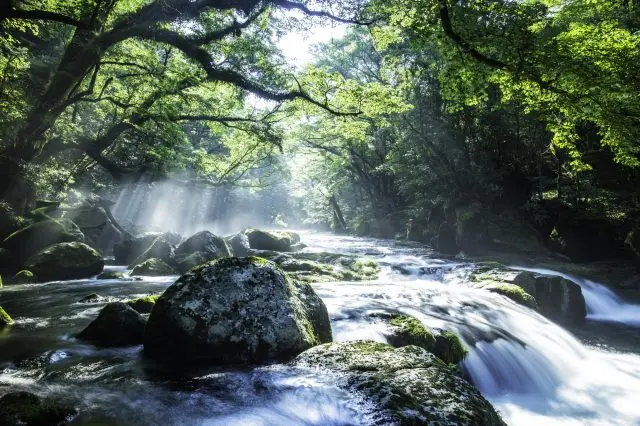 巡遊各種壯麗的自然景觀，盡情感受熊本的魅力