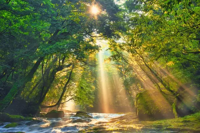 県北エリアで人気の絶景スポット菊池渓谷