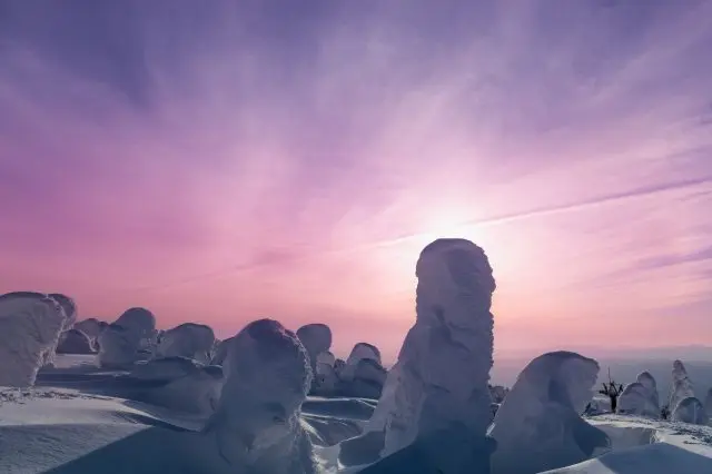 自然が創りだした冬限定の芸術・蔵王樹氷