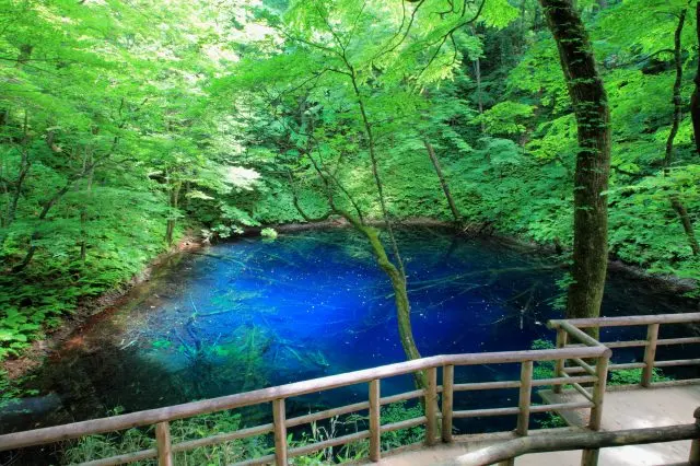 可欣賞到神秘絕景的十二湖之一「青池」