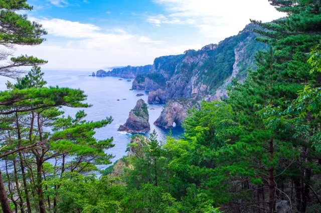 海と複雑な海岸が織りなす絶景は岩手の魅力のひとつ