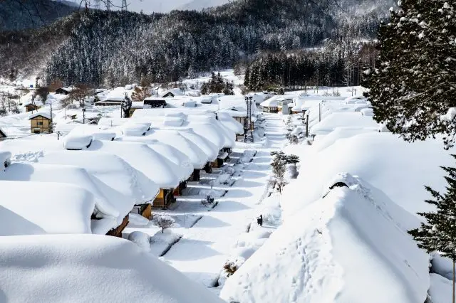 豪雪地帯である会津では美しい雪景色も楽しめる